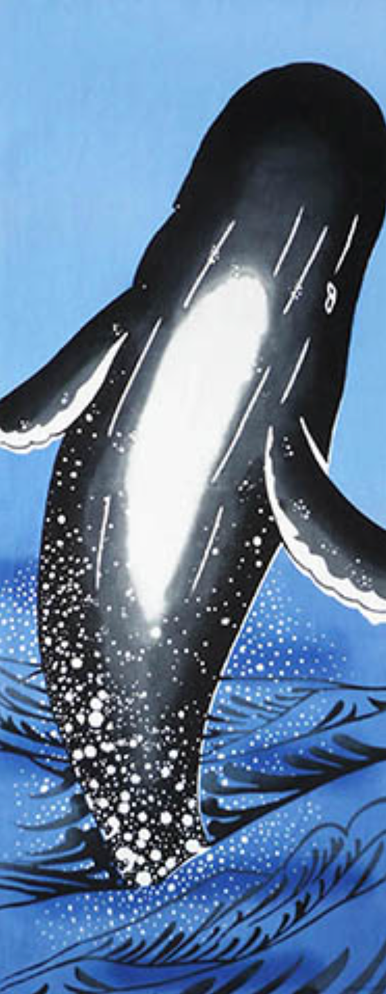 Tenugui - Whale