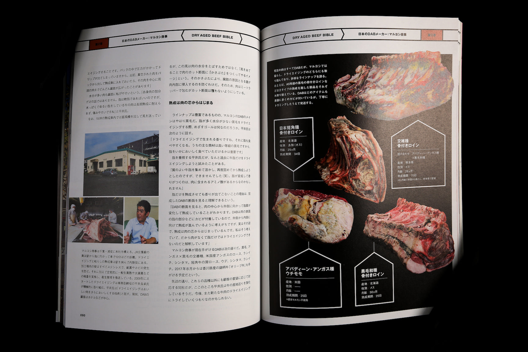 Kanzen Rikai Jyukusei Niku Bible