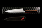 Gesshin Kagekiyo 210mm Ginsanko Wa-Gyuto