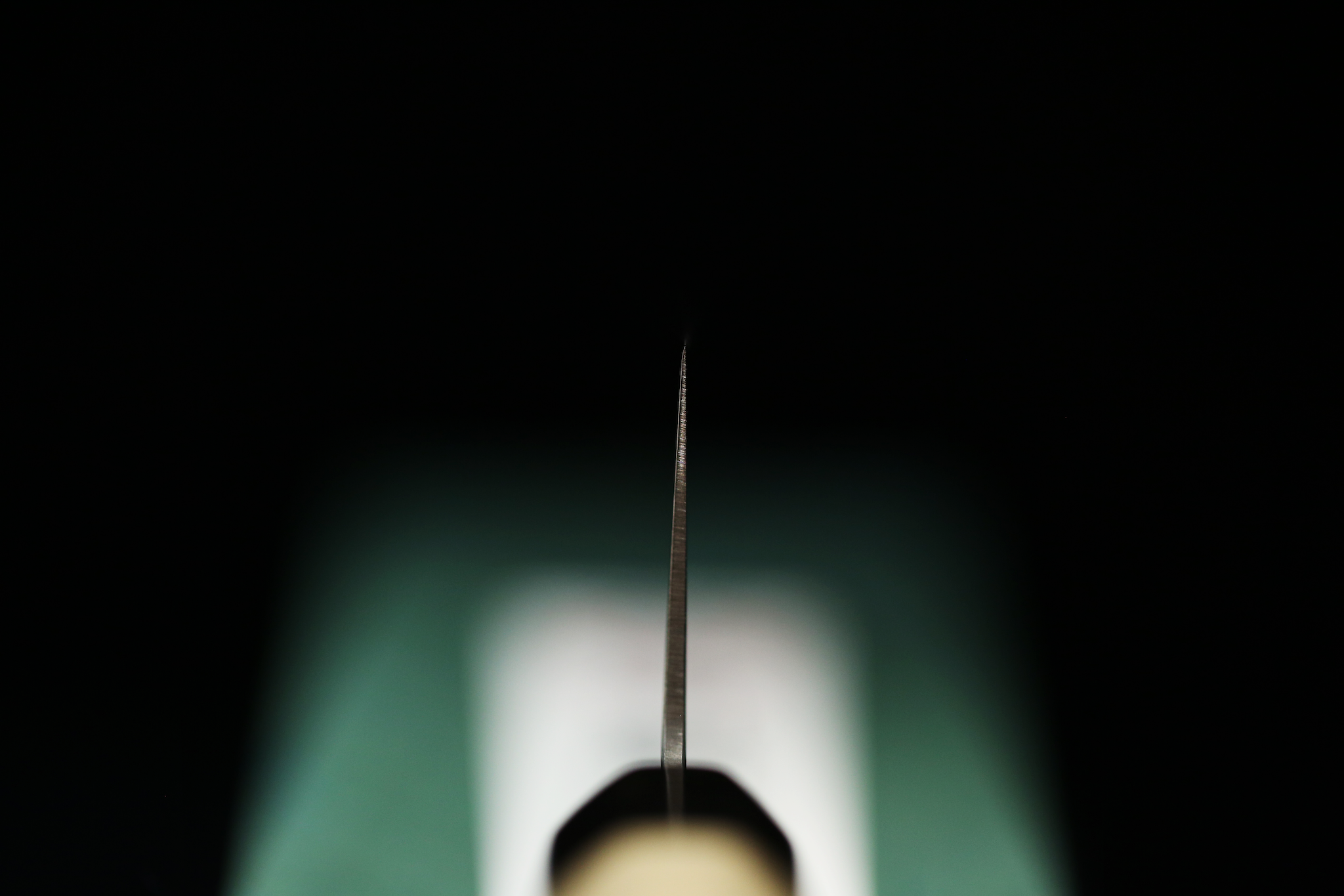Gesshin Uraku 180mm VG1 Wa-Santoku