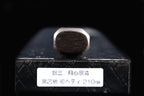 Gesshin Kagekiyo 210mm Ginsanko Wa-Petty