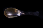 Renge - Water Buffalo Horn