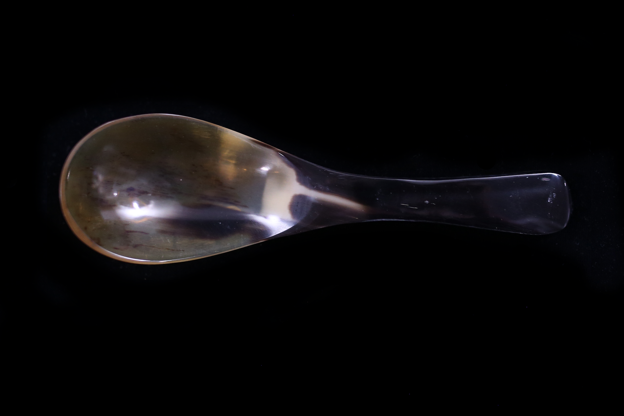 Renge - Water Buffalo Horn