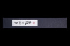 Gesshin Ginga 150mm Carbon Left-Handed Honesuki