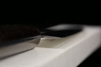 Rinkaku 270mm Semi-Stainless Sujihiki