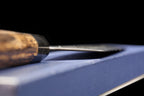 Kochi 270mm Kurouchi Kiritsuke-Shaped Wa-Gyuto