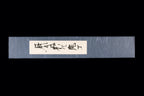 Hotaru 240mm SG2 Wa-Gyuto