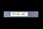 Hotaru 210mm SG2 Wa-Gyuto