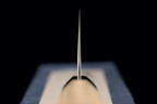 Hotaru 240mm SG2 Wa-Gyuto