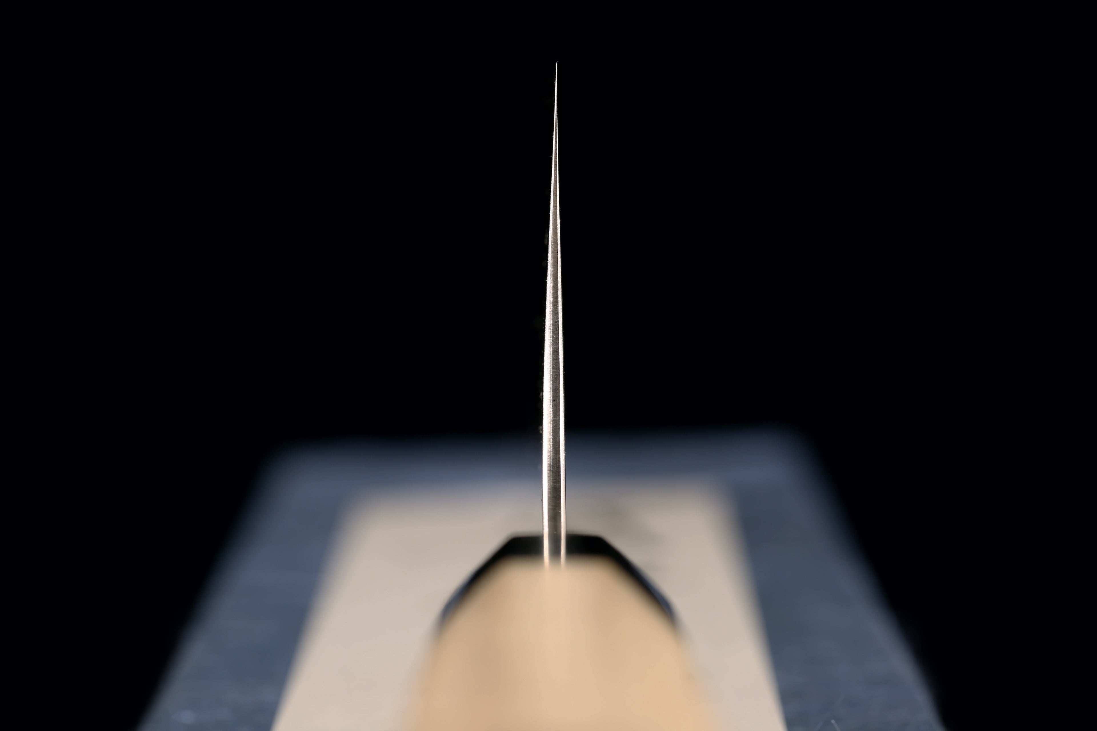 Hotaru 240mm SG2 Wa-Gyuto