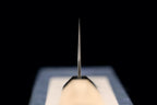Hotaru 210mm SG2 Wa-Gyuto