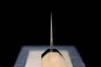 Hotaru 180mm SG2 Kiritsuke-Shaped Santoku
