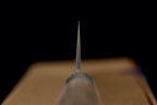 Gen 210mm Kurouchi Wa-Gyuto