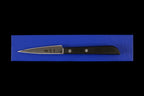 Gesshin 90mm Paring Knife