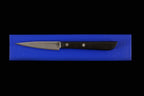 Gesshin 90mm Paring Knife