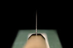 Gesshin Uraku 240mm VG1 Wa-Gyuto