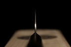 Zuiun 180mm SG2 Kiritsuke Wa-Santoku (With Saya)