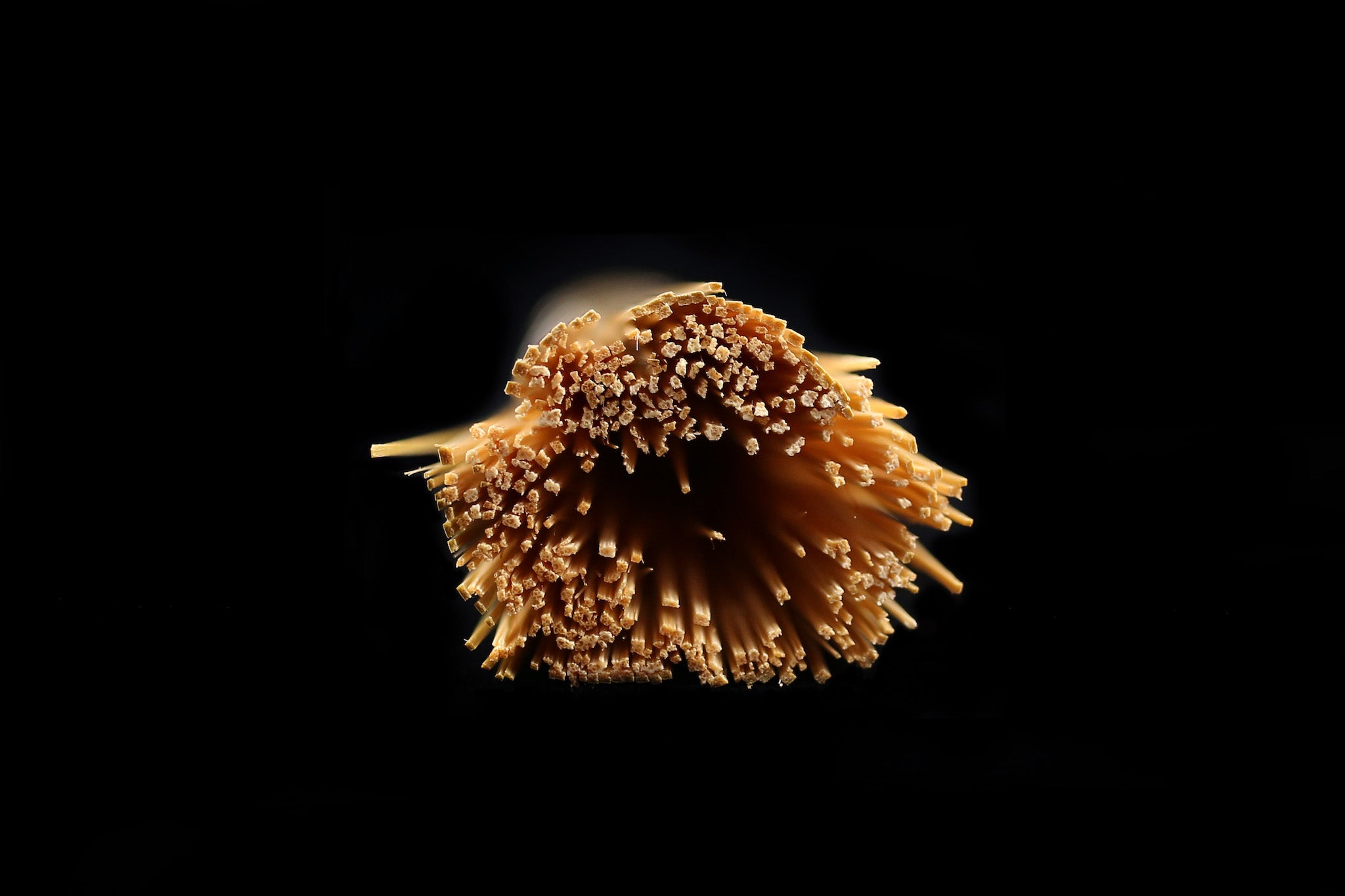 Mini Sasara Brush