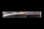 Zakuri 240mm Blue #1 Kurouchi Wa-Gyuto (Ebony Handle)