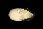 Oyster Paper Weight(Large)
