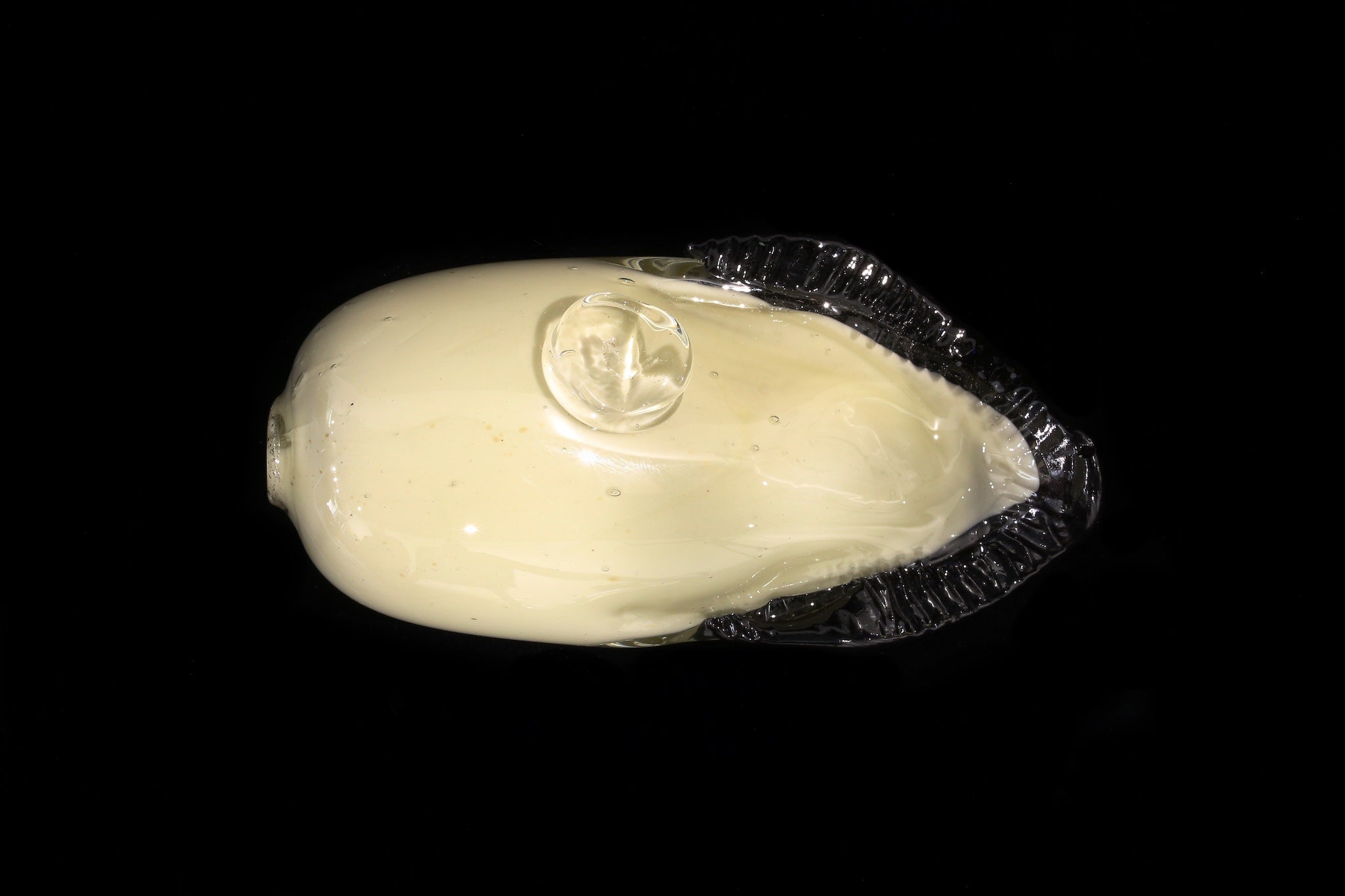 Oyster Paper Weight(Large)