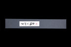 Gesshin Ginga 210mm Stainless Wa-Gyuto