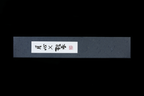 Gesshin Ginga 150mm Stainless Honesuki