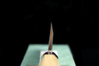 Gesshin Uraku 210mm White #2 Left-Handed Deba