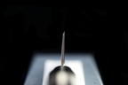 Gesshin Ginga 150mm Stainless Honesuki