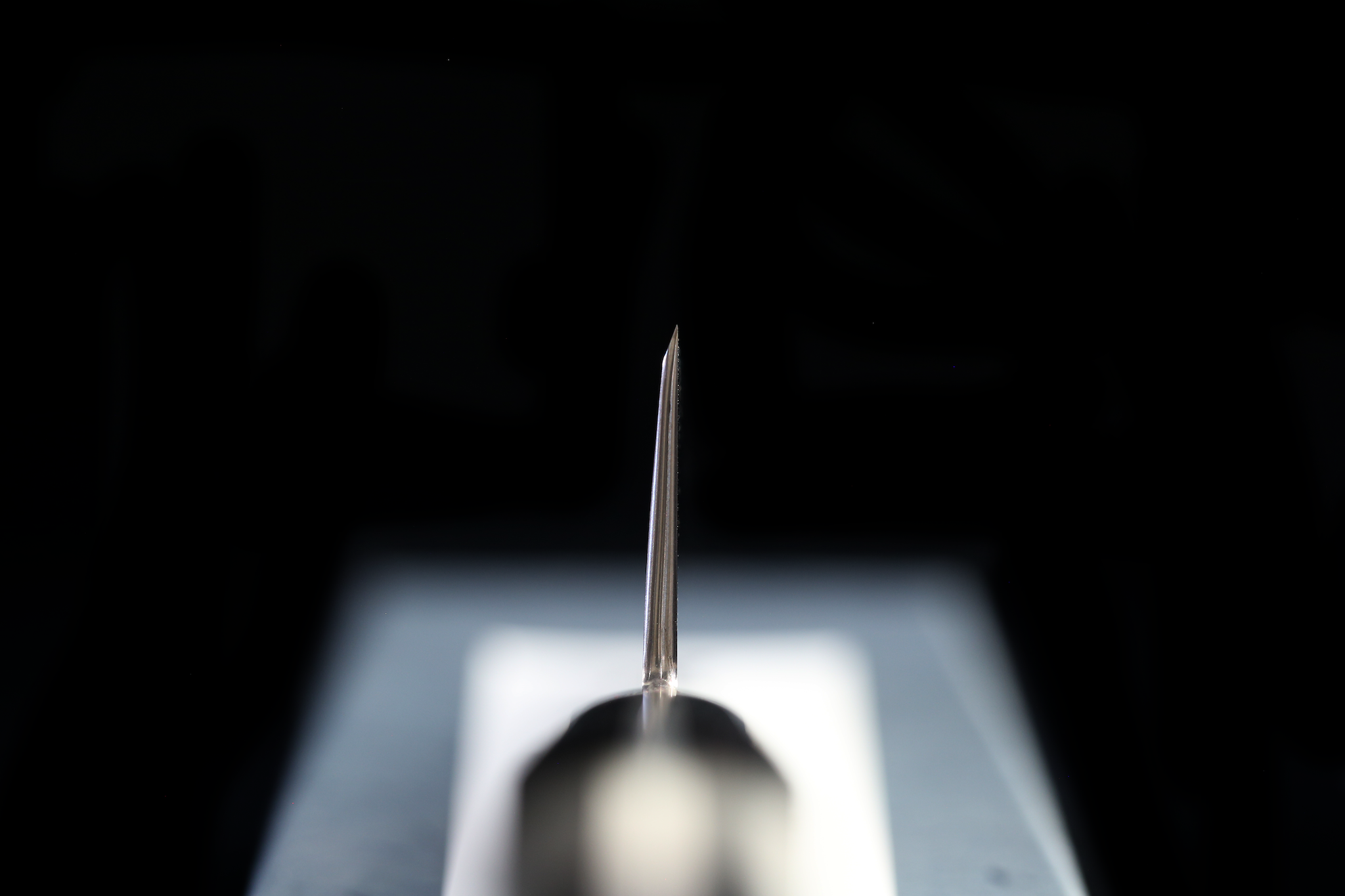 Gesshin Ginga 150mm Stainless Honesuki