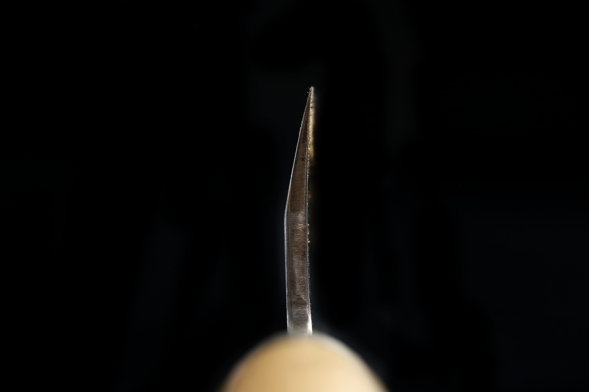 Jin 210mm High Speed Steel Mioroshi Deba with Saya MD-39