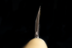 Jin 237mm High Speed Steel Mioroshi Deba with Saya MD-48
