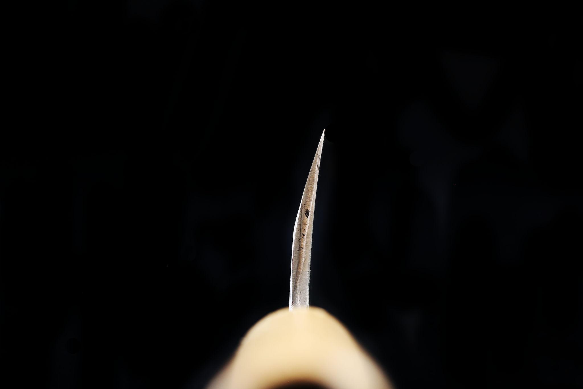 Jin 212mm High Speed Steel Mioroshi Deba with Saya MD-45