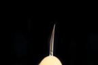 Jin 229mm High Speed Steel Mioroshi Deba with Saya MD-43