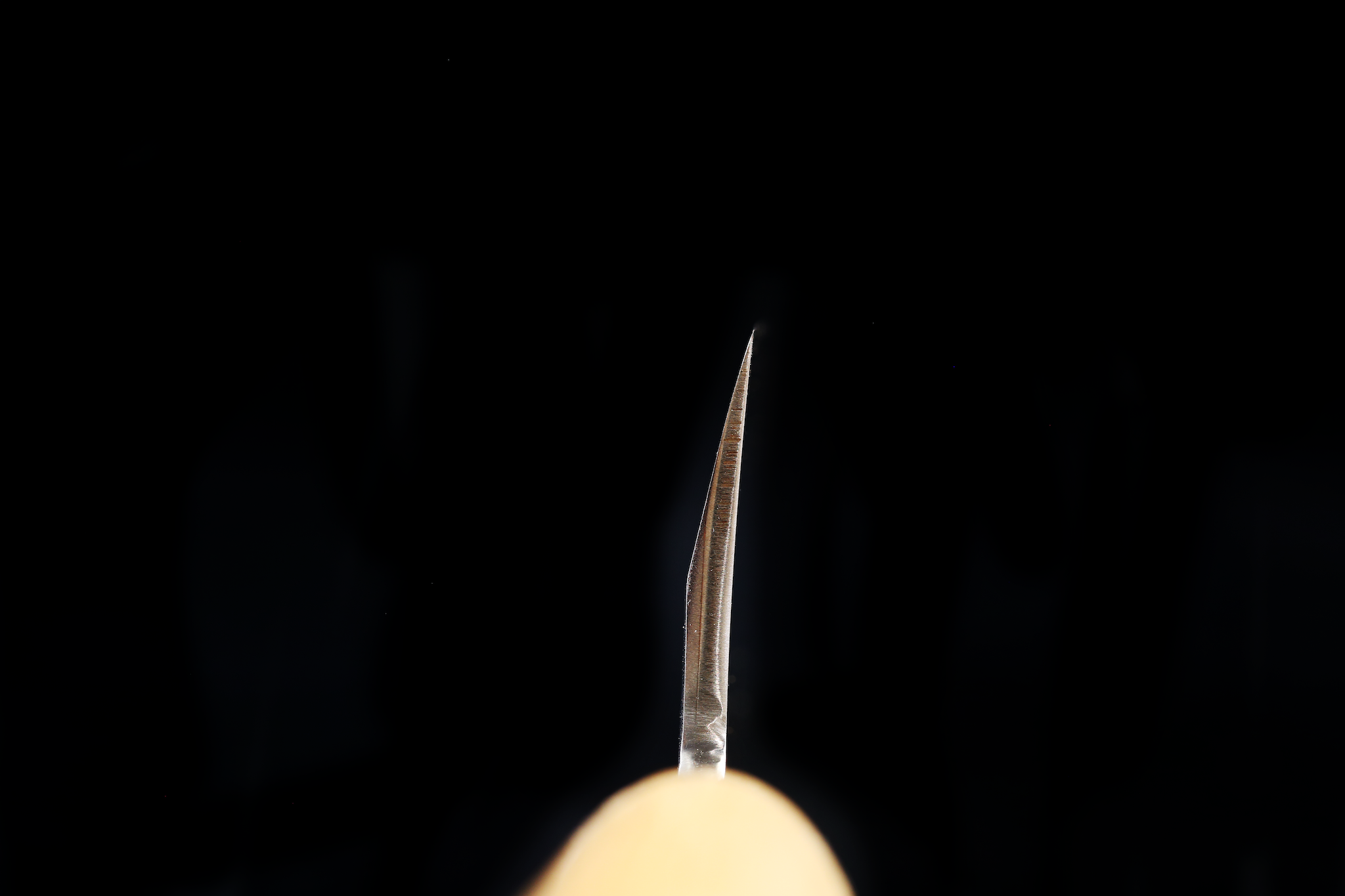 Jin 229mm High Speed Steel Mioroshi Deba with Saya MD-43
