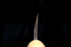 Jin 220mm High Speed Steel Deba with Saya D-22