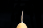 Jin 237mm High Speed Steel Mioroshi Deba with Saya MD-41