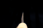 Jin 208mm High Speed Steel Mioroshi Deba with Saya MD-34