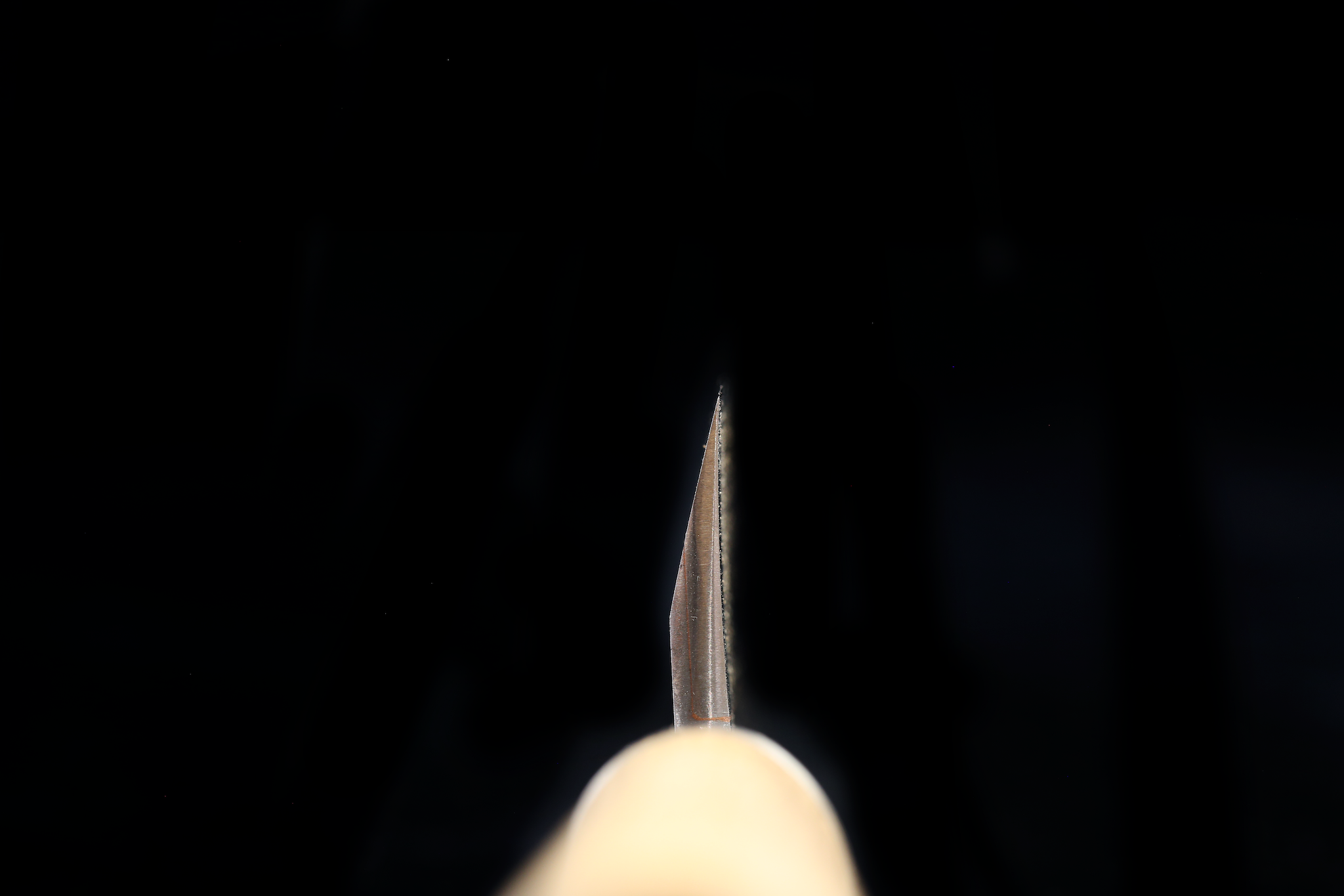 Jin 208mm High Speed Steel Mioroshi Deba with Saya MD-34