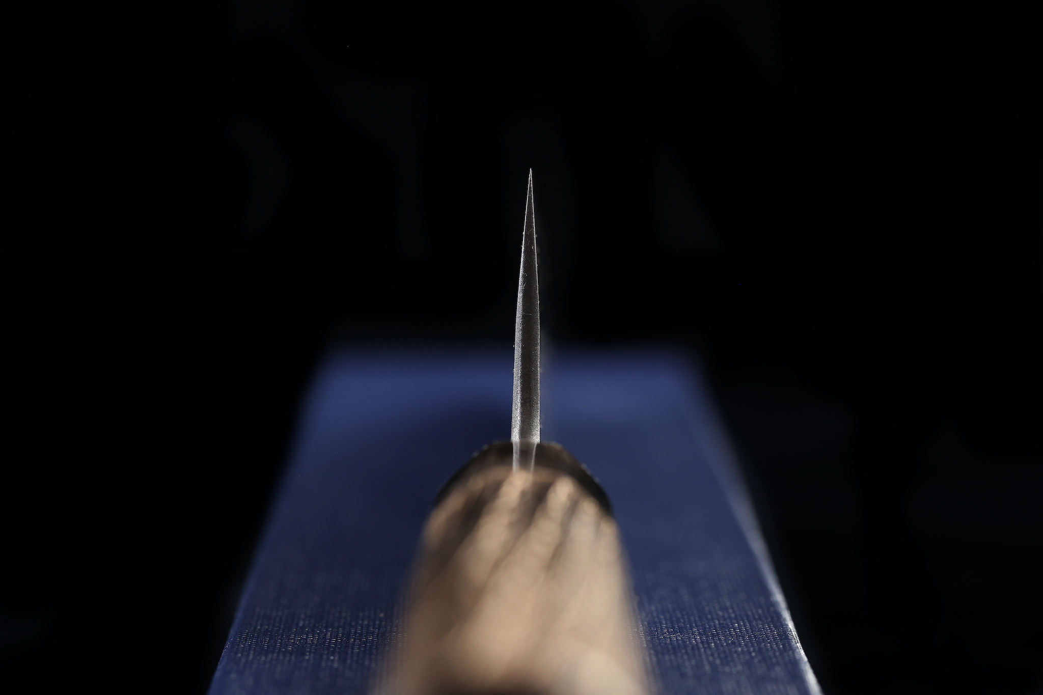 Kochi 210mm Kurouchi Damascus Wa-Gyuto