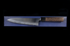 Kochi 210mm Migaki Wa-Gyuto