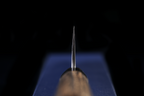 Kochi 210mm Migaki Wa-Gyuto