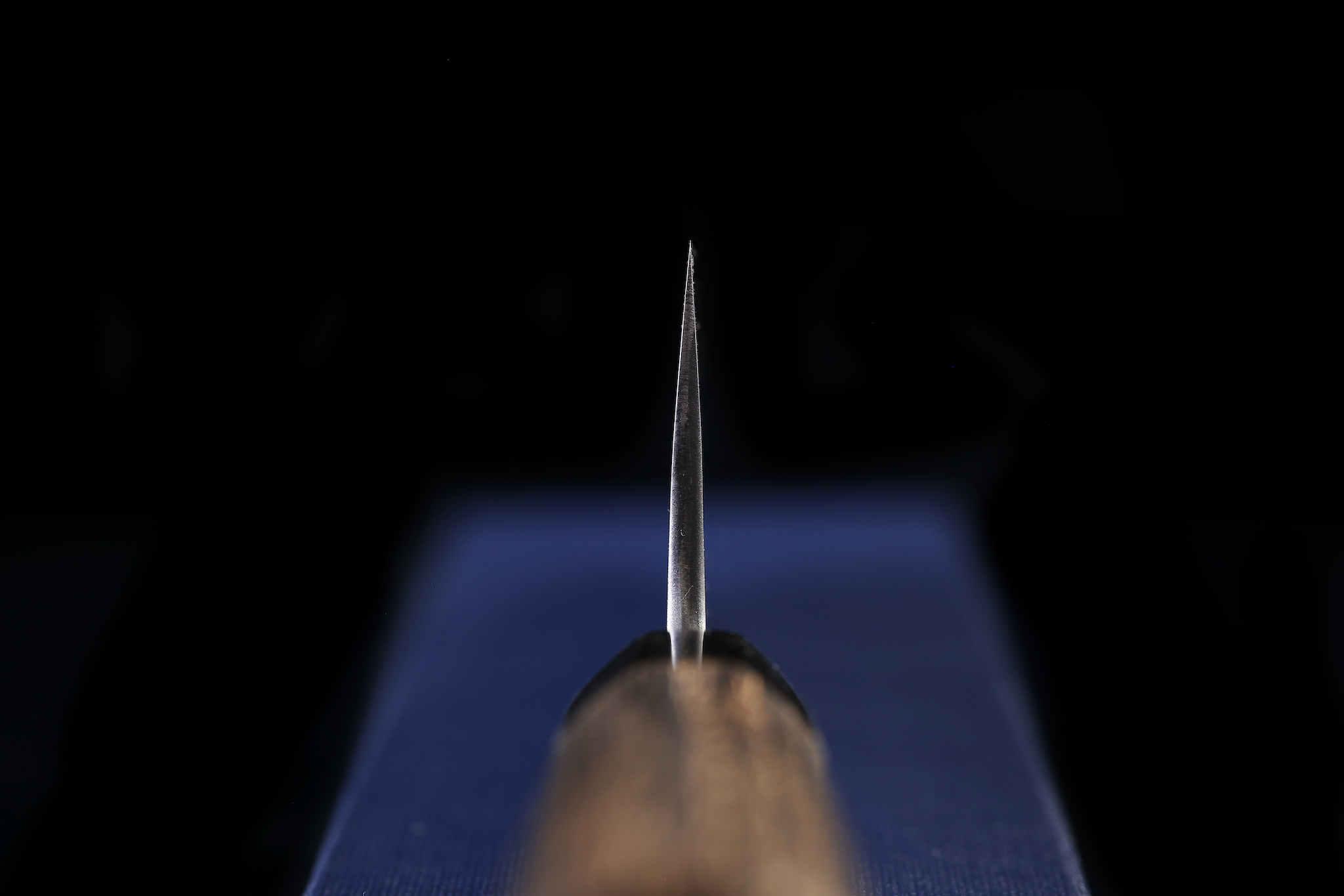 Kochi 210mm Migaki Wa-Gyuto