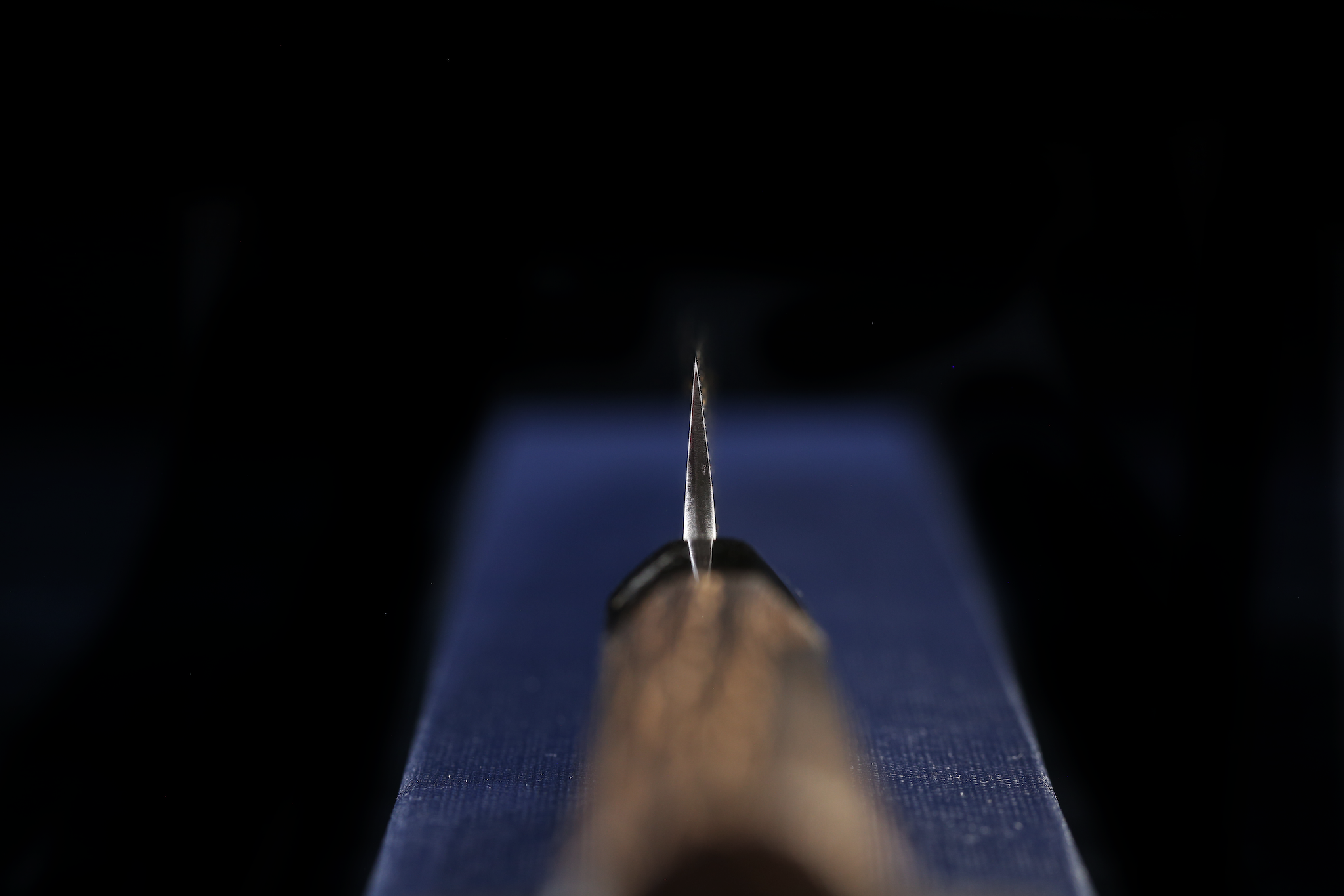 Kochi 210mm Migaki Wa-Petty