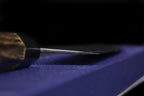Kochi 240mm Migaki Kiritsuke-Shaped Wa-Gyuto