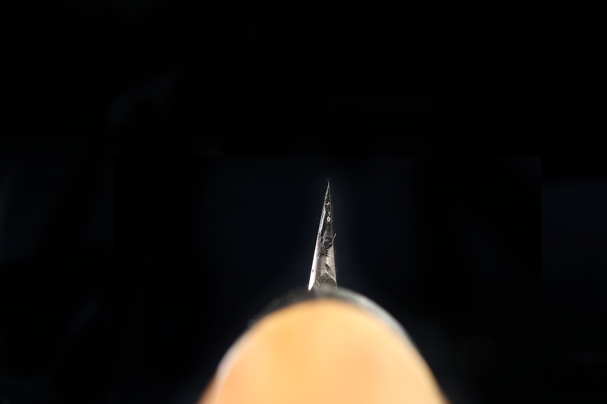 Jin 179mm High Speed Steel Ko-Yanagiba with Saya P-67