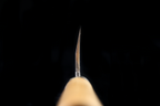Jin 237mm High Speed Steel Deba with Saya D-18