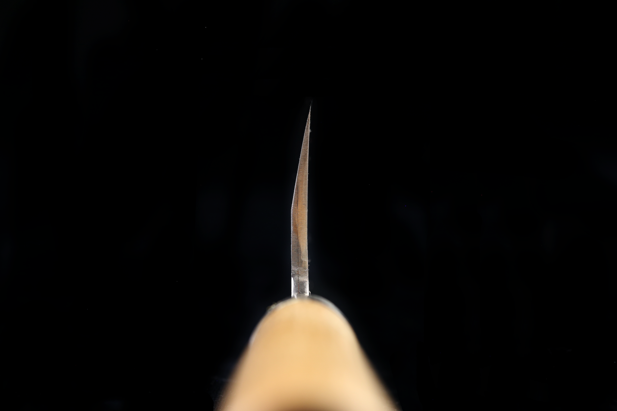 Jin 237mm High Speed Steel Deba with Saya D-18