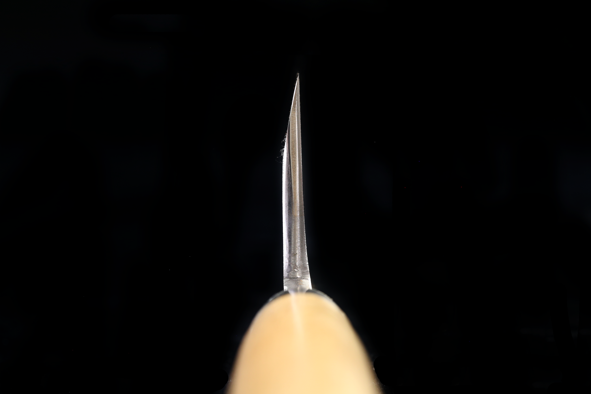 Jin 219mm High Speed Steel Deba with Saya D-24