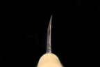 Jin 218mm High Speed Steel Deba with Saya D-16